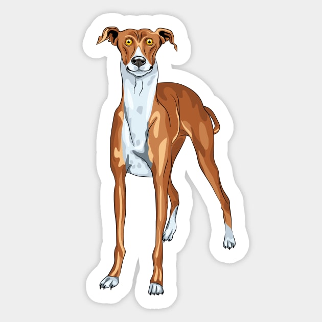 dog breed Greyhound Sticker by kavalenkava